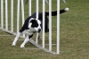 Agility-@-Filos-2025-129