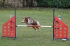 Agility-@-Filos-2025-130