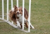 Agility-@-Filos-2025-133