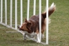 Agility-@-Filos-2025-134
