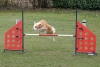 Agility-@-Filos-2025-137