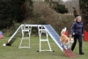 Agility-@-Filos-2025-141