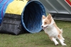 Agility-@-Filos-2025-142