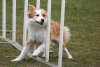 Agility-@-Filos-2025-143