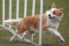 Agility-@-Filos-2025-144
