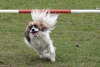 Agility-@-Filos-2025-147