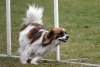 Agility-@-Filos-2025-148