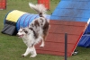 Agility-@-Filos-2025-154