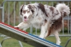 Agility-@-Filos-2025-158