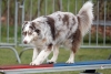 Agility-@-Filos-2025-159