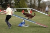 Agility-@-Filos-2025-162