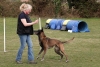 Agility-@-Filos-2025-163
