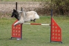 Agility-@-Filos-2025-166
