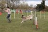 Agility-@-Filos-2025-168