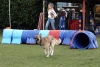 Agility-@-Filos-2025-169