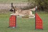 Agility-@-Filos-2025-170