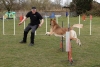 Agility-@-Filos-2025-171