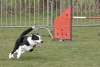 Agility-@-Filos-2025-173