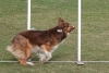 Agility-@-Filos-2025-175