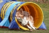 Agility-@-Filos-2025-177