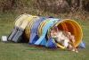 Agility-@-Filos-2025-178