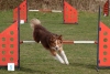 Agility-@-Filos-2025-179