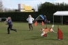 Agility-@-Filos-2025-180