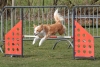 Agility-@-Filos-2025-181