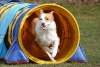 Agility-@-Filos-2025-182
