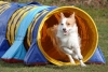 Agility-@-Filos-2025-183