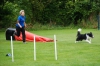 ic-agility-034