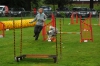 ic-agility-079