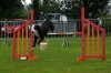 ic-agility-083