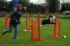 ic-agility-085