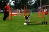 ic-agility-099