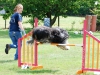 agility-2015-003