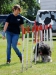 agility-2015-004