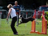 agility-2015-015