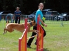 agility-2015-019