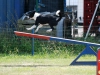 agility-2015-035