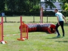 agility-2015-042