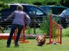 agility-2015-047