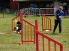 agility-2015-049