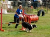 agility-2015-050