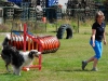 agility-2015-052