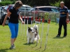 agility-2015-053