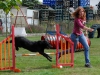 agility-2015-054