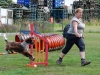 agility-2015-056