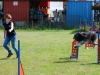 agility-2015-062