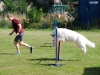 agility-2015-071